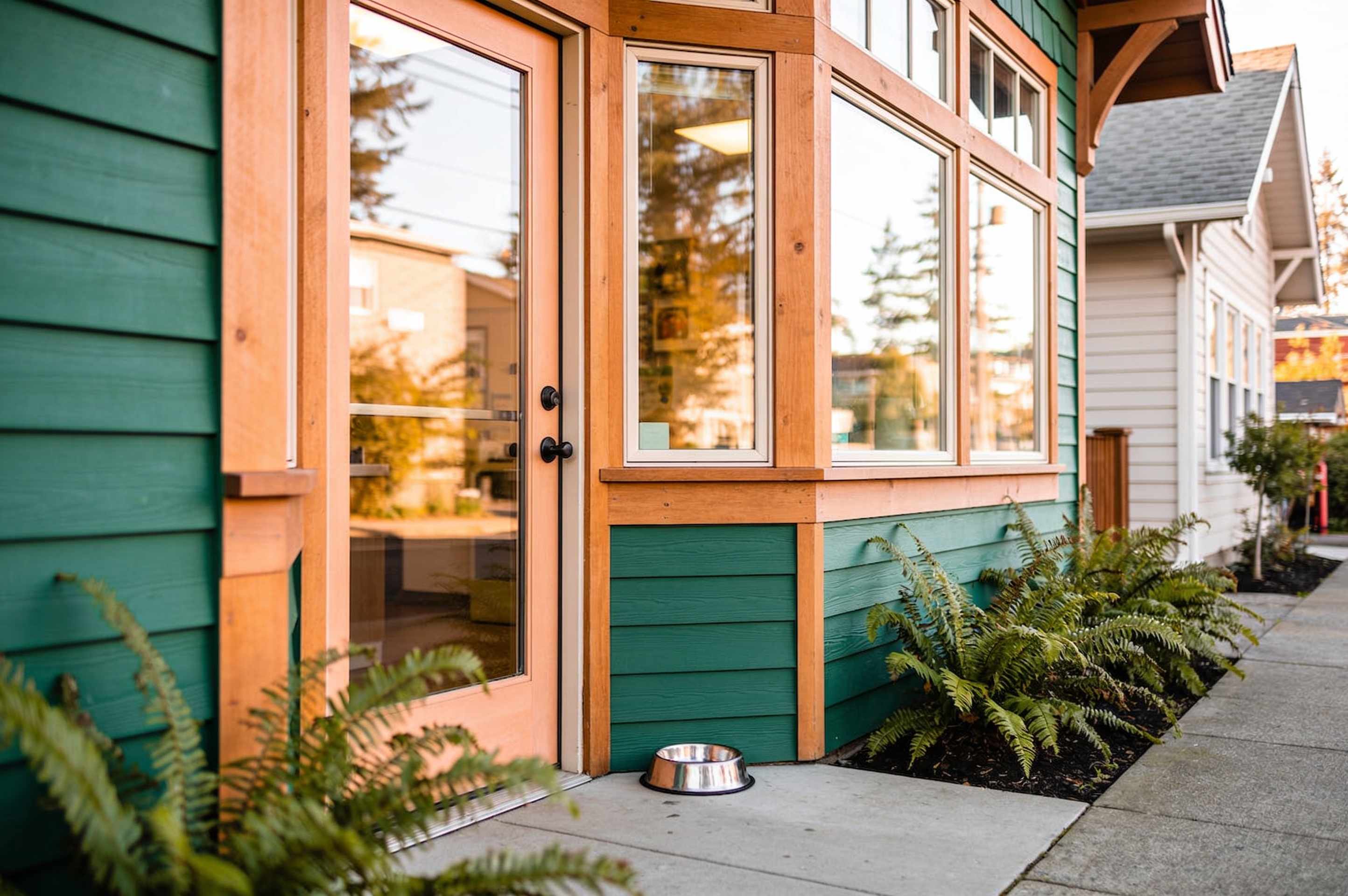 A forest-green craftsman-style clinic with natural wood, big windows, ferns and a dog water bowl by the door.